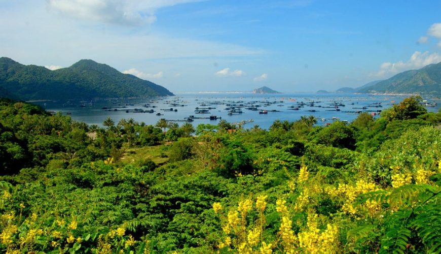 Everything You Need to Know About Tuy Hoa: A Travel Guide to Vietnam’s “City of Flowers”
