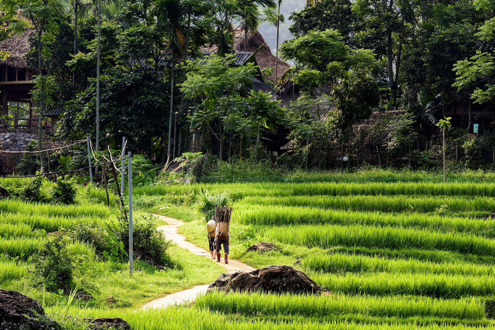 A Complete Travel Guide to the City of Thanh Hoa, Vietnam