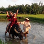 Hoi An Eco Tour - Tripfany Travel